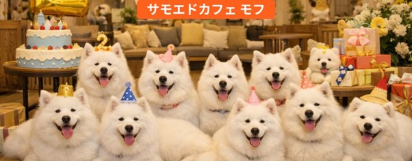 「サモエドカフェMoffu」、オープン2周年で来場者数25万人を突破――「ふれあい体験」が都市型ペット市場に新たな価値を創出